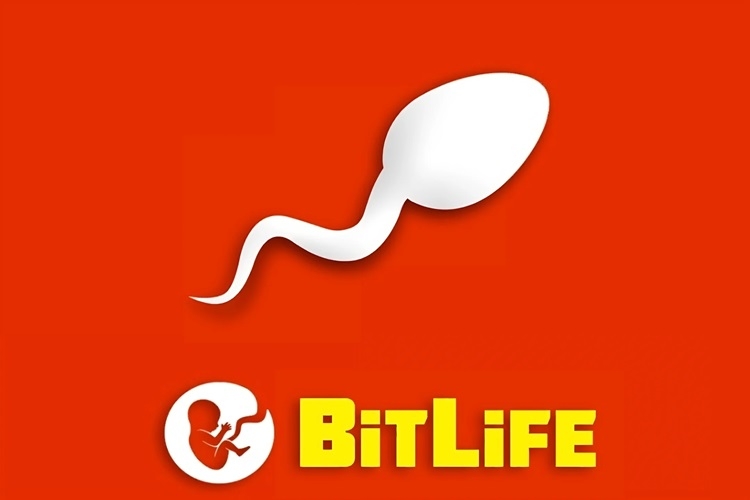 BitLife description