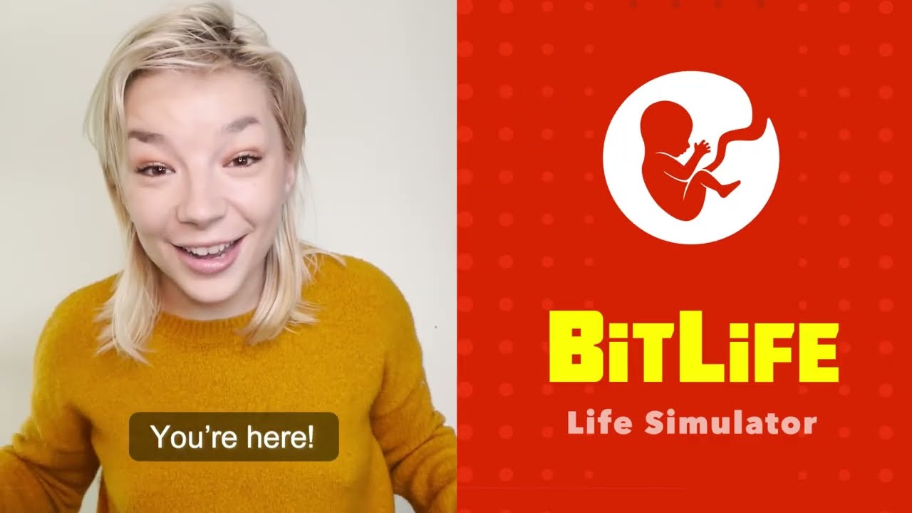 BitLife gameplay description